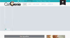 Desktop Screenshot of catgenie.com